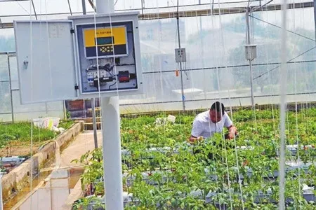Smart Agriculture Monitoring