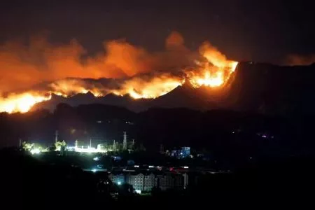 Forest Fire Fighting