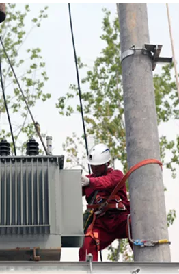 Electric Power